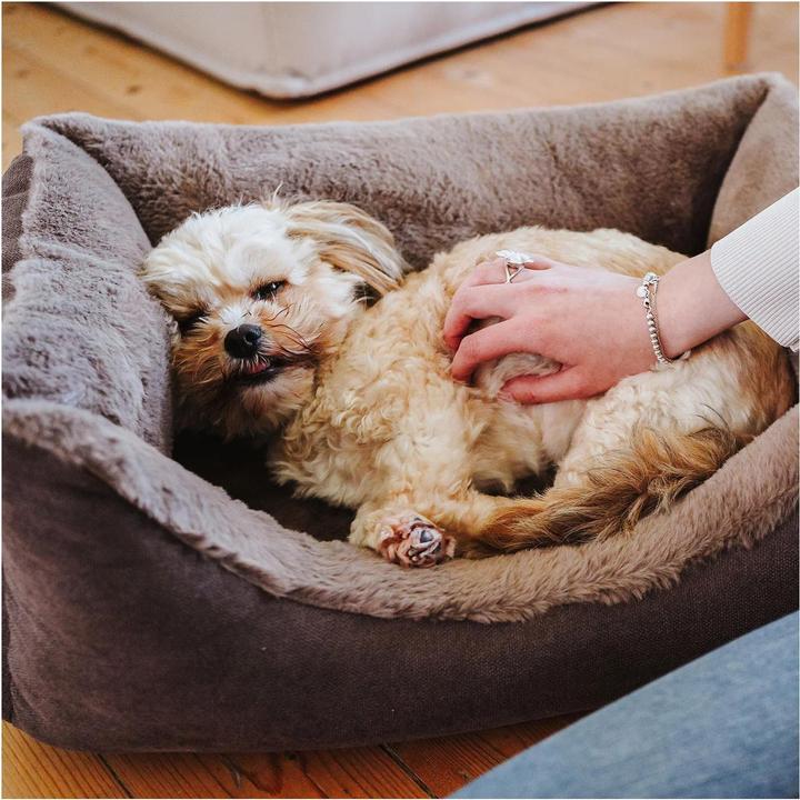 Produktbild Hunter Orthopädisches Hundebett Rockford (Hund)