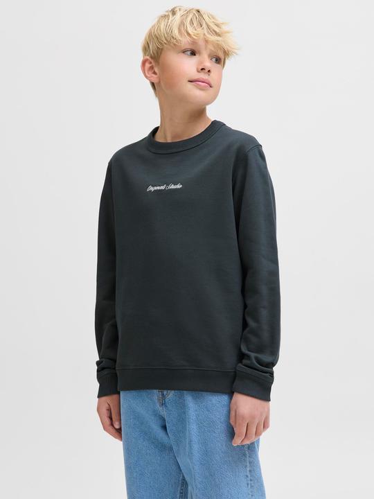 Produktbild Jack & Jones Jornorrebro Emb Sweat Crew Noos Jnr (128)
