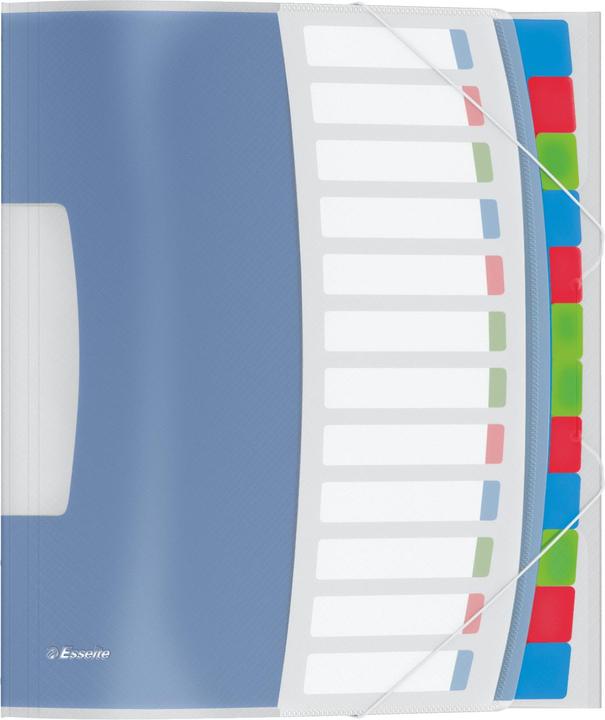 Dymo Esselte 624030 266 mm (A4, 1 x)