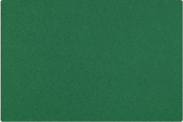 Lion Cutting Mat CM-120 120x80cm green (80 x 120 cm)