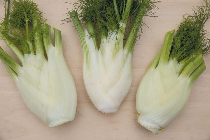 Produktbild Zollinger Bio Fenchel, Latina