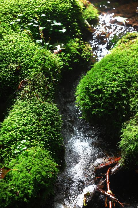 Image du produit Canon RF 28-70mm f/2.8 IS STM (Canon RF, Plein format)