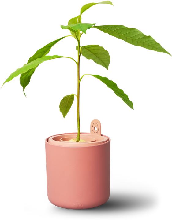 Produktbild Elho Amazing Avocado Pot