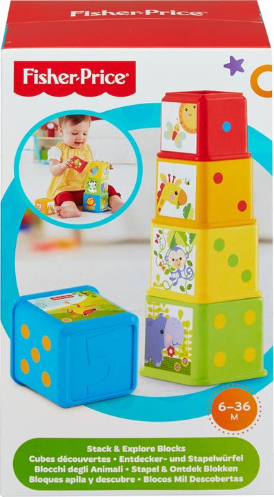 Actual product image Fisher-Price Stack & Explore Blocks