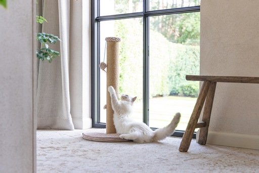 Actual product image Designed by Lotte Scratching post (70 cm, Rose)