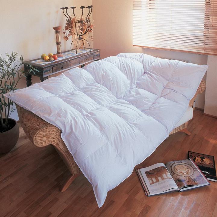 BettwarenShop Canada (1020 g, 155 x 220 cm)
