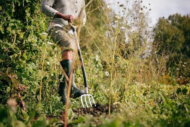 Produktbild Fiskars Widły Do Kopania Xact