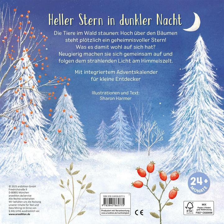 Produktbild Mein liebstes Adventskalenderbuch