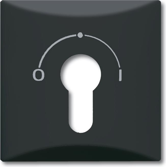 Actual product image Busch-Jaeger Central disc with imprint 2CKA001710A1902