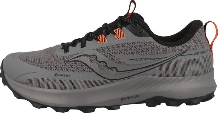 Image du produit Saucony Peregrine 13 Gtx (45)