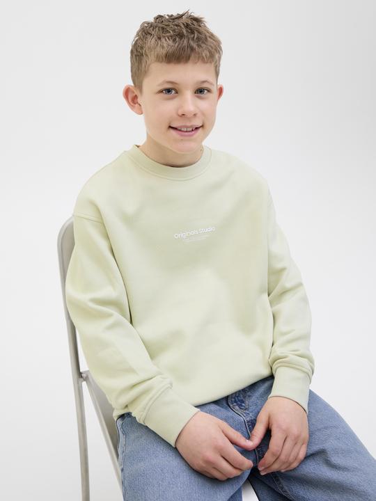 Produktbild Jack & Jones Gedruckt Sweatshirt Junior Sweatshirt (176)