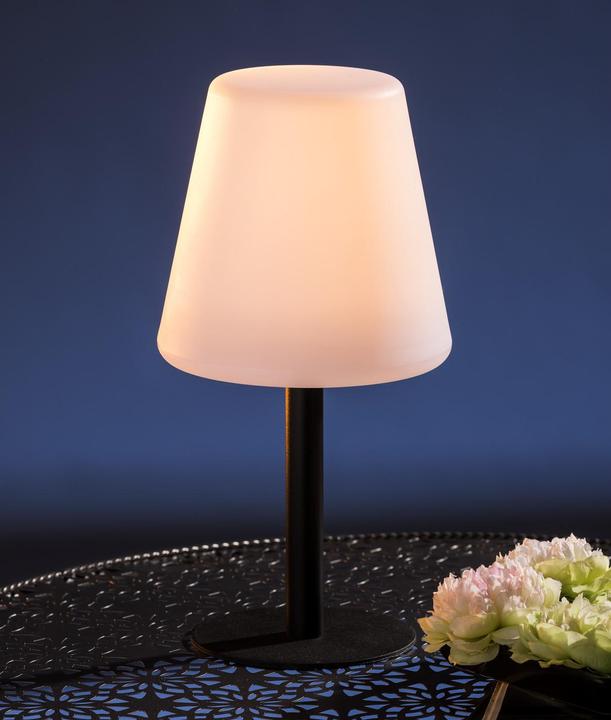 Image du produit GuGus Solar (50 lm)