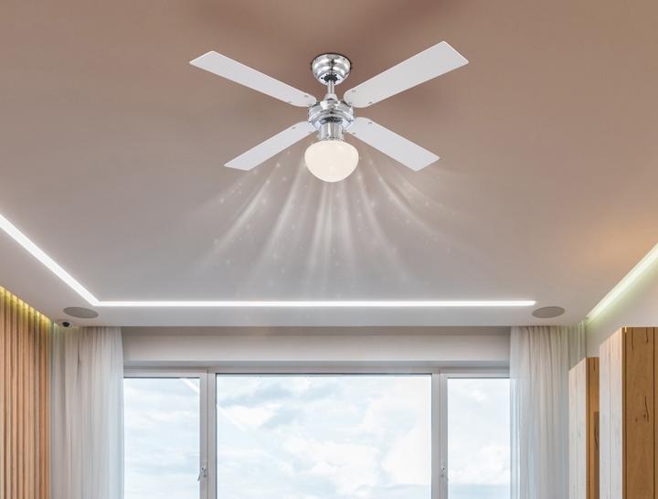 Actual product image Globo Champion (41.89 dB)