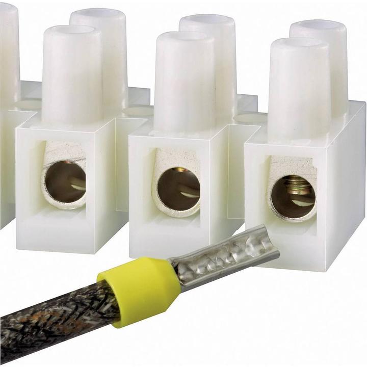 Actual product image Tru Components Luster terminal