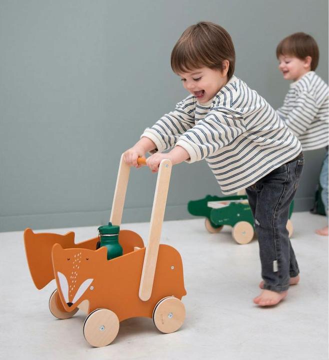 Immagine prodotto Trixie Baby Carrello di apprendimento