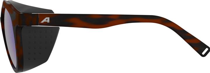 Image du produit ALPINA SPORTS Glace P