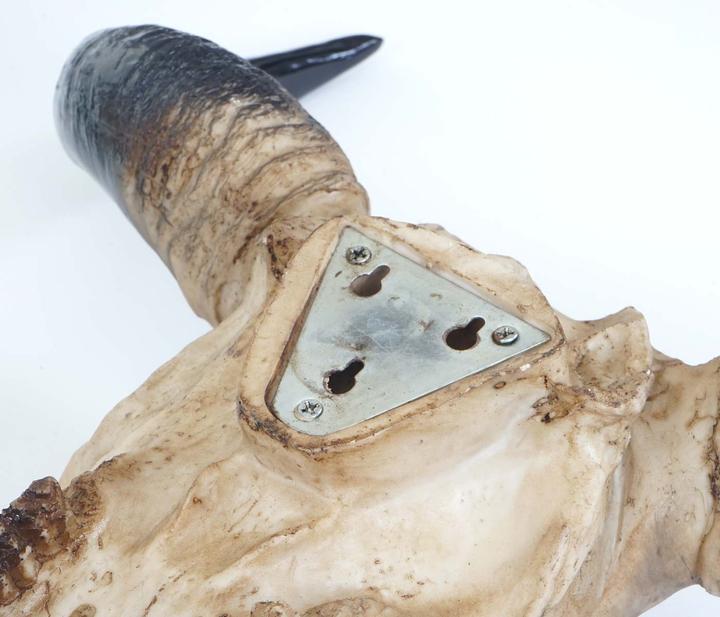 Image du produit JOHN316 Deko Schädel