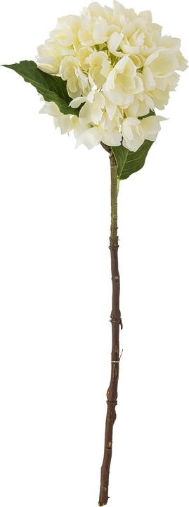 Immagine prodotto Bloomingville Hydrangea (56 cm)