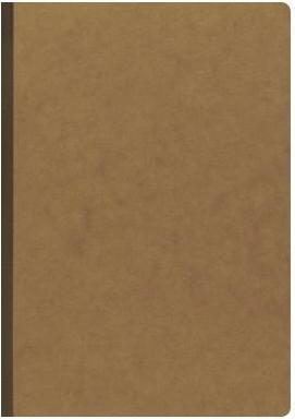 Cahier FACT!plus DIN A5 pointillé marron 96 fls (A5, Pointillés)