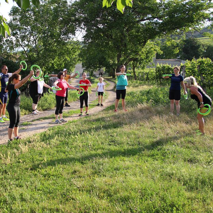 Actual product image Smovey Swing rings Classic