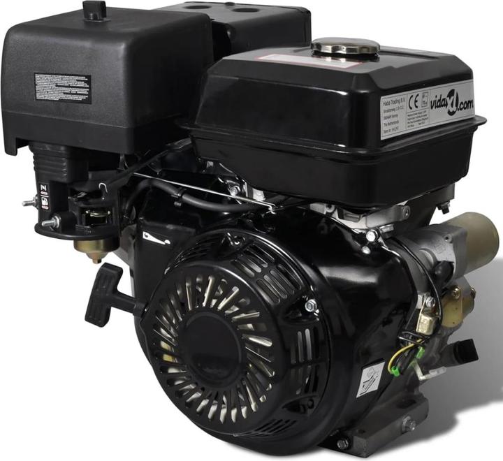VidaXL Pazia (11000 W, 6.50 l)
