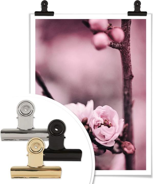 Immagine prodotto Trenddeko Boccioli di fiori (30 x 40 cm)