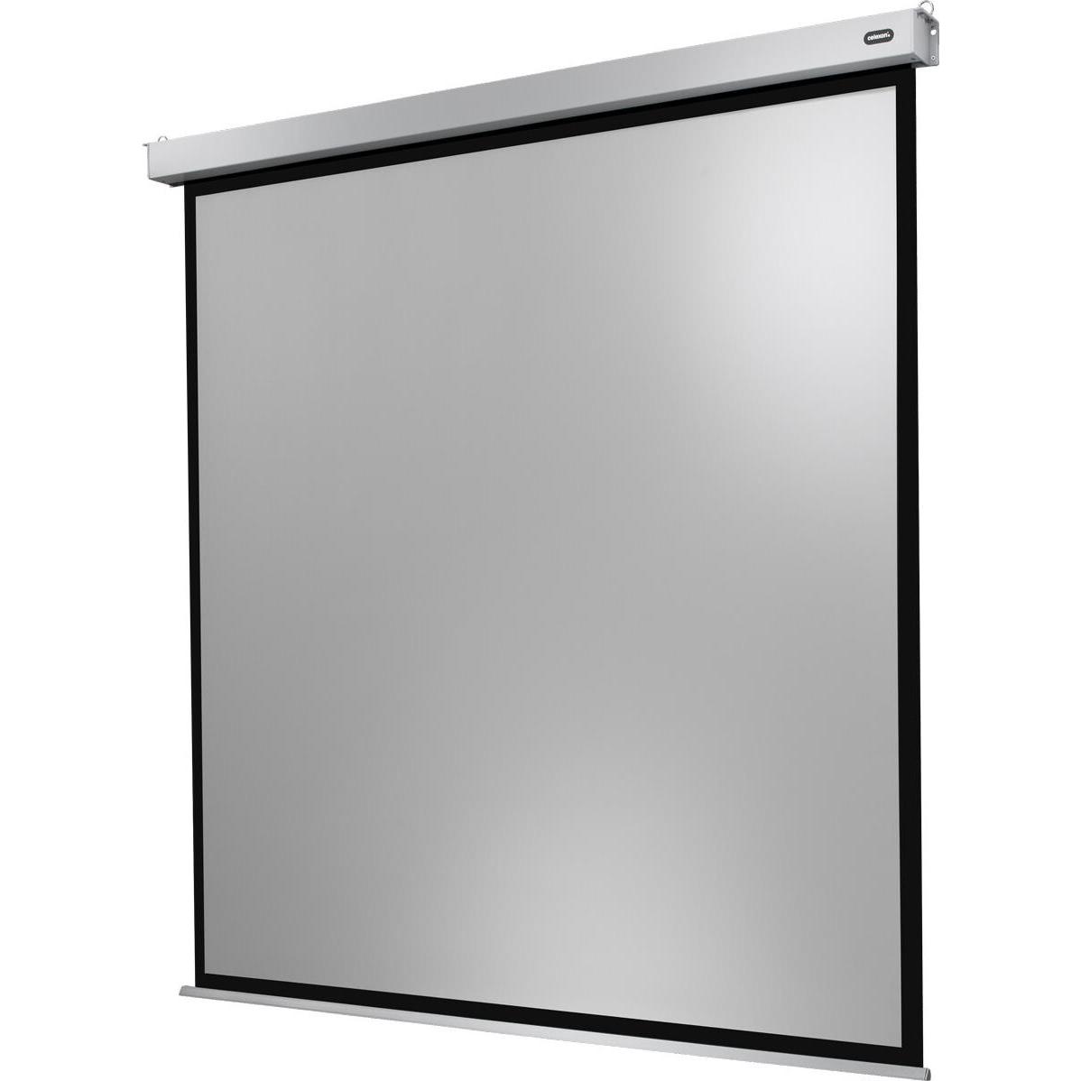 Celexon Motor Professional Plus (111", 1:1), Leinwand, Weiss