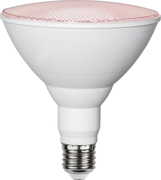 Star Trading Lamp Plant Light (E27, 16 W, 1200 lm, 1 x)