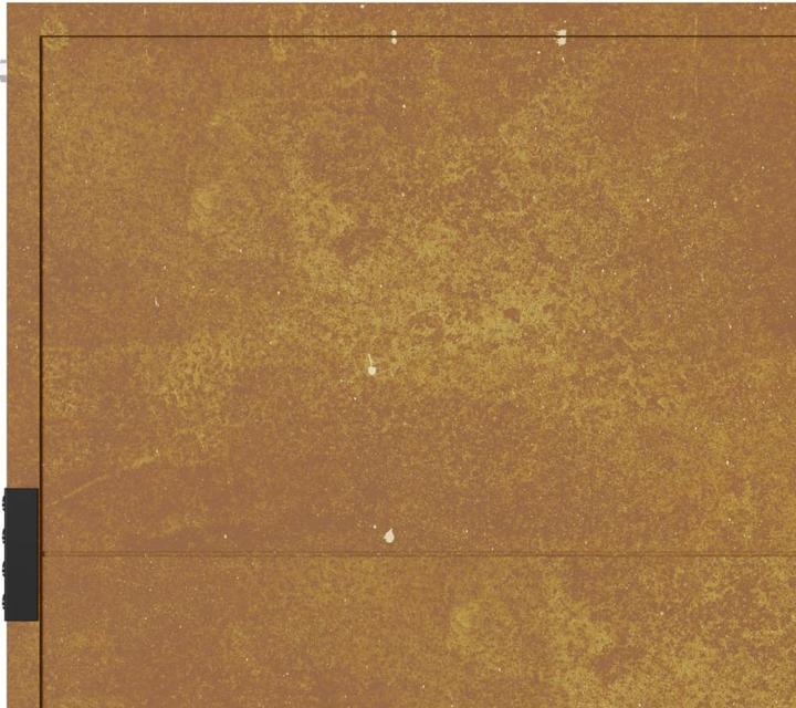 Produktbild vidaXL Gartentor