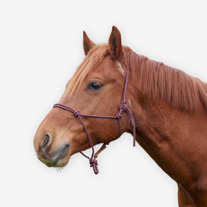 Caperlan Knotenhalfter Natural Horsemanship Pferd/Pony bordeaux