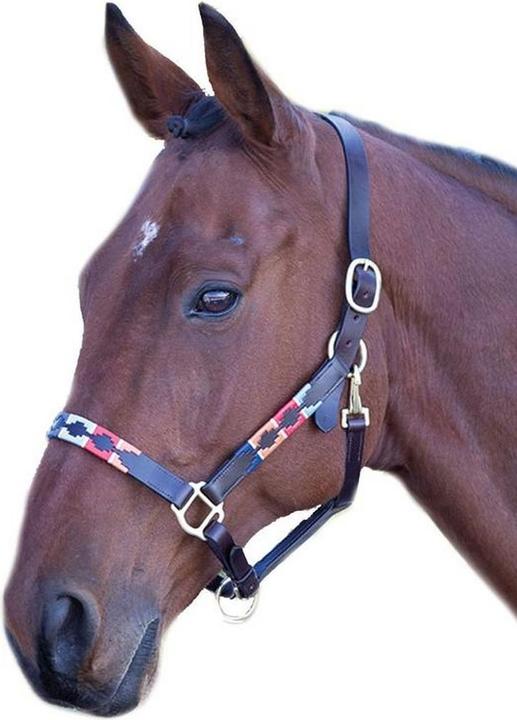 Immagine prodotto Universal Textiles Polo Pferdehalfter Leder