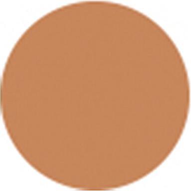 Actual product image Sensai Cellular Performance Cream Foundation SPF 15 (CF24 Amber Beige)