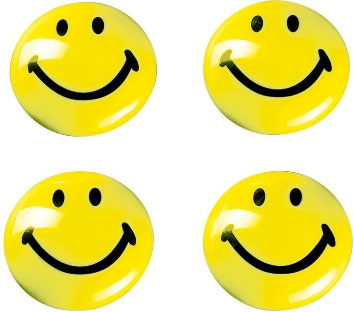 Actual product image Magnetoplan Smiley Magnets (4 x)