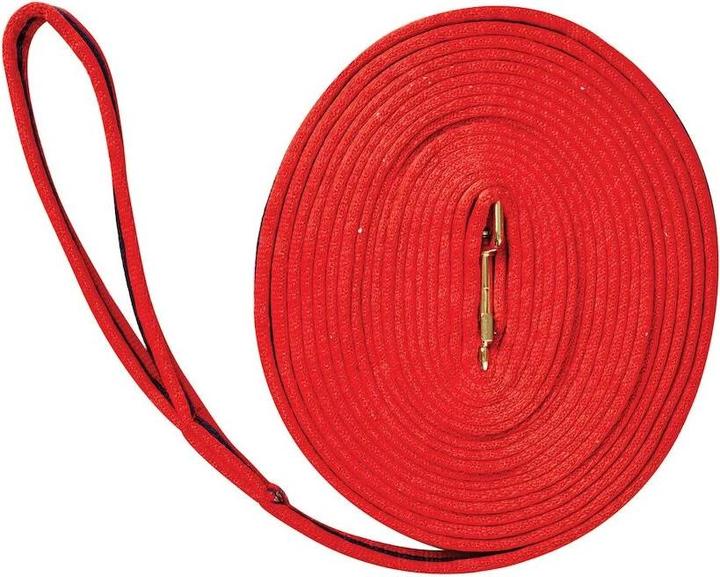 Actual product image Kincade Long reins for horse riding