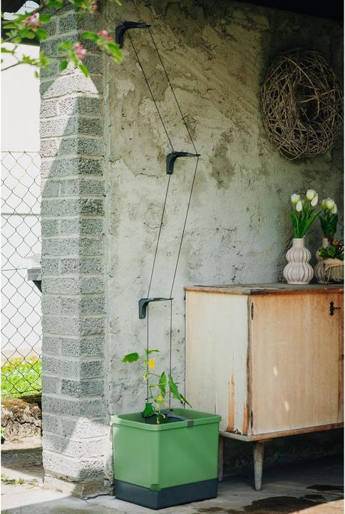 Image du produit Gusta Garden CURT CUCUMBER Gurkentopf Grau (28.70 cm, 33.50 cm)