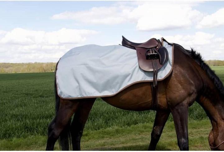 Image du produit TdeT Couvre-reins pour cheval imperméable (155 cm)