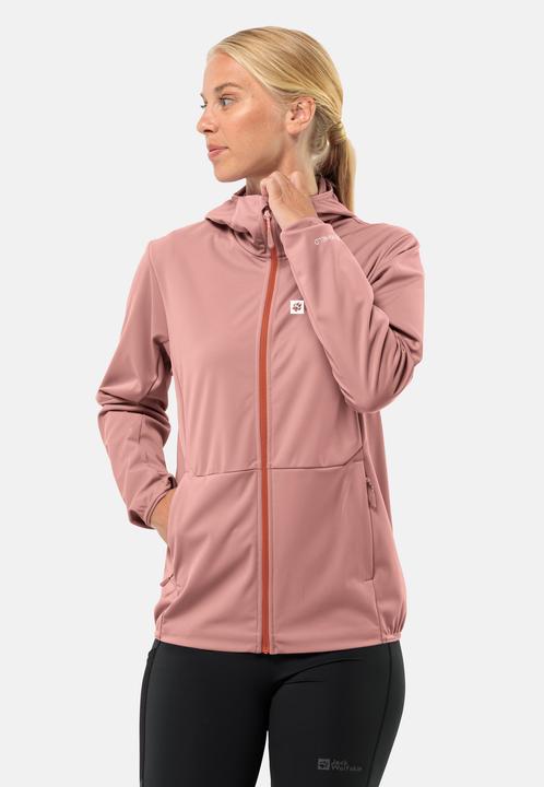 Produktbild Jack Wolfskin Feldberg Hoody W (S)