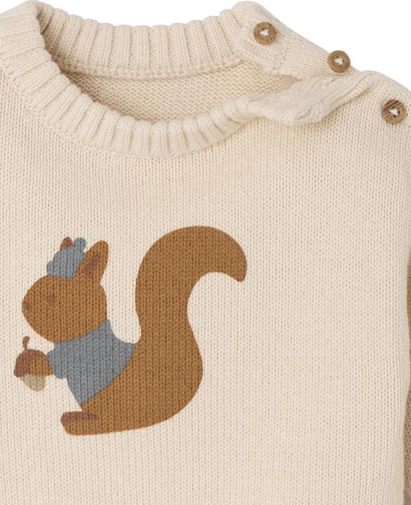 Image du produit Vertbaudet Baby Pullover aus Jacquard mit Eichhörnchen-Print (56)