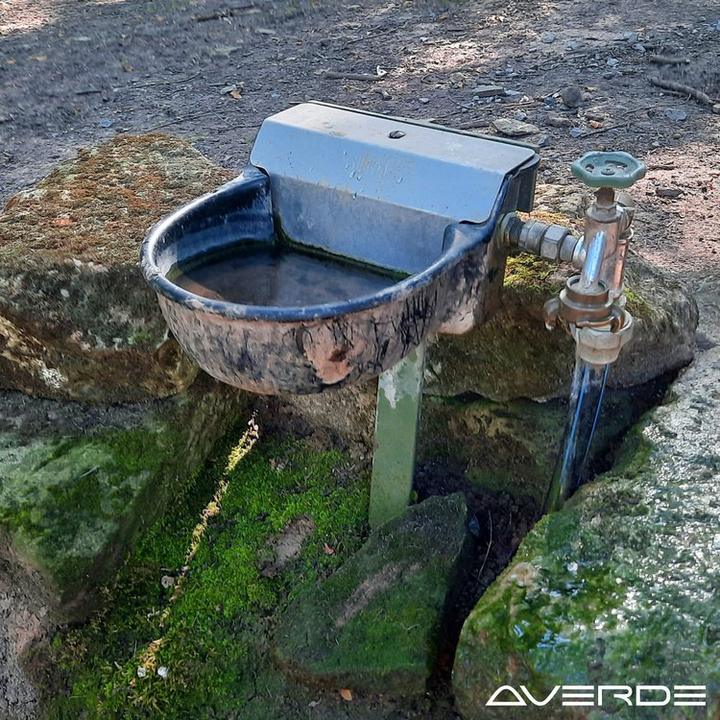 Image du produit Suevia Abreuvoirs modèle 340