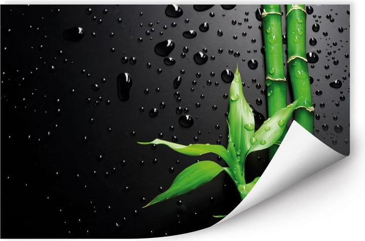 Immagine prodotto Trenddeko Bambù su nero (45 x 30 cm)