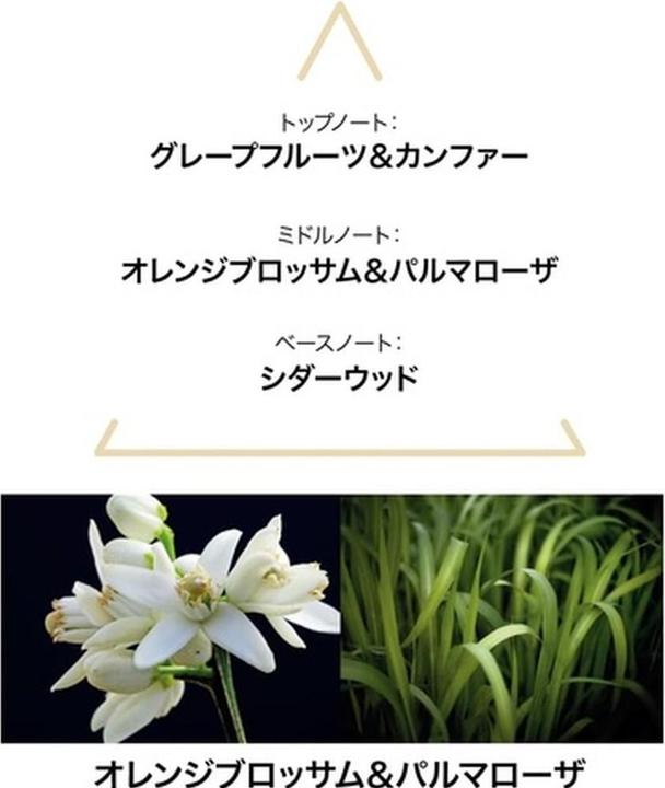 Actual product image Le Couvent Botanical Cologne Aqua Mysteri EDT 50 ml (Eau de cologne, 50 ml)