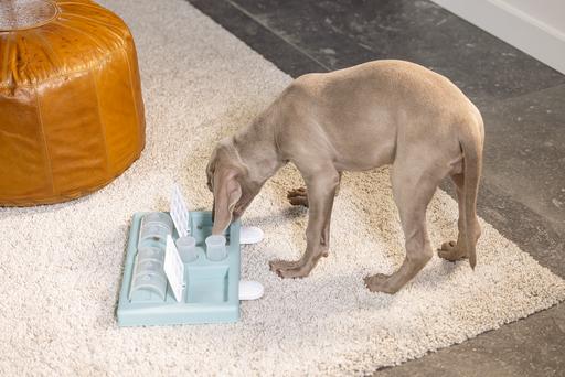 Actual product image Beeztees Reef (Intelligence toy dog)