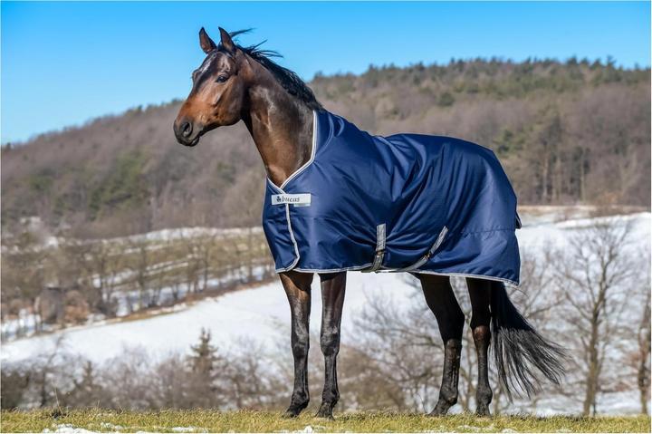 Bucas Tappeti luminosi a collo alto Freedom Turnout