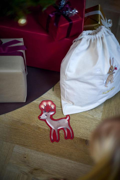 Immagine prodotto Filibabba - Wonderful Winter Forest friends - (FI-03793) (5 pezzi)