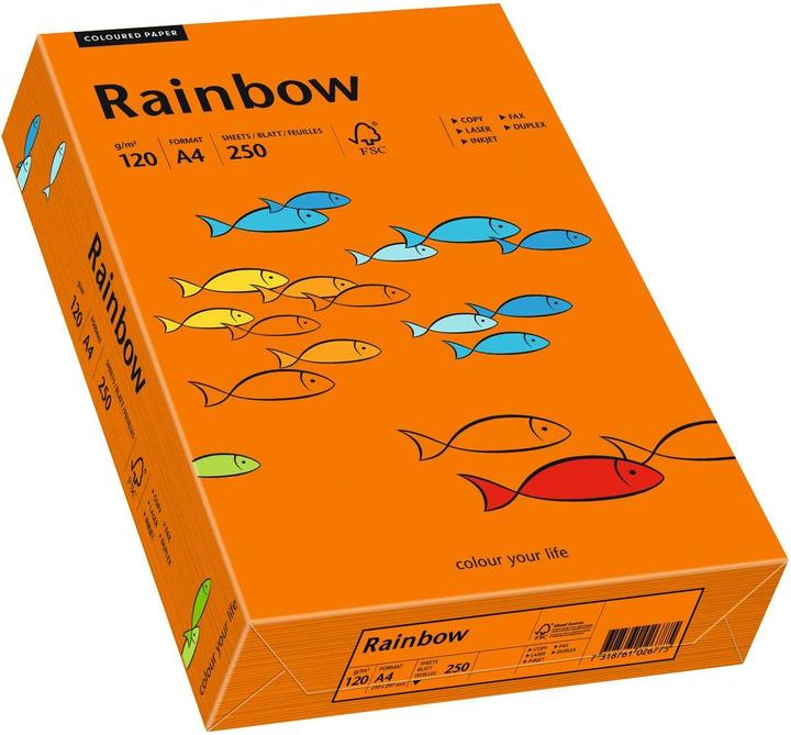 Produktbild Mondi Farbiges Kopierpapier Rainbow (120 g/m², 250 x, A4)