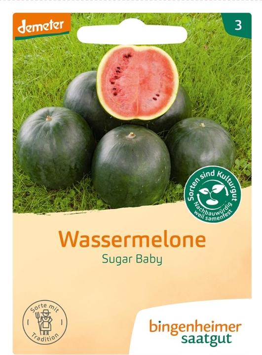Produktbild Bingenheimer Saatgut Wassermelone Sugar Baby (Keimlinge)
