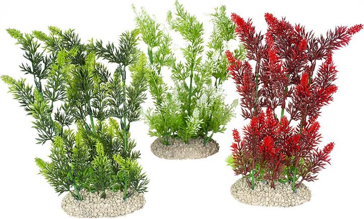 Produktbild EBI Aqua Della Pflanze Elodea Densa Set XL (Pflanzen)