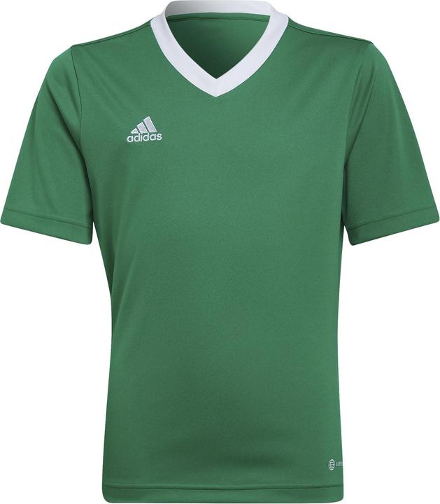 TEAGRN/WHITE, teagrnwhite, Team Green/Blanc, Vert, vert/blanc