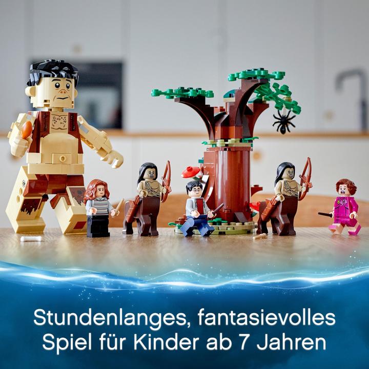 Image du produit LEGO La forêt interdite : rencontre avec l'omble (75967, LEGO Harry Potter)