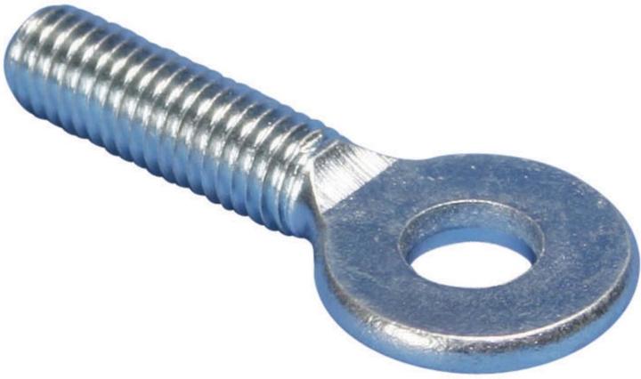 Actual product image Erico Eyebolt (100 Screws per piece)
